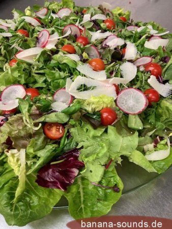 Blattsalat mit Wildkräuter, Tomate, Parmesan